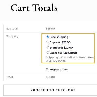 Shipping-Challenges-That-Disrupt-WooCommerce-Stores-2