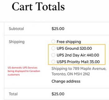 Shipping-Challenges-That-Disrupt-WooCommerce-Stores-3