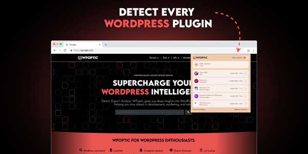 Detect-Every-WordPress-Plugin