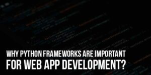 Why-Python-Frameworks-Are-Important-For-Web-App-Development
