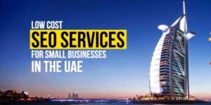 Low-Cost-SEO-Services-For-Small-Businesses-In-The-UAE