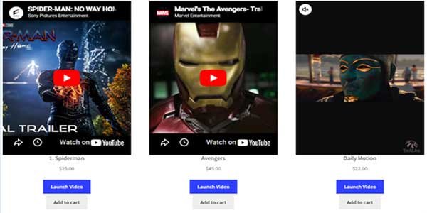 Importance-of-Displaying-Videos-on-Product-and-Shop-Pages