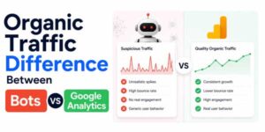 Organic-Traffic-Difference-Between-Bots-And-Google-Analytics